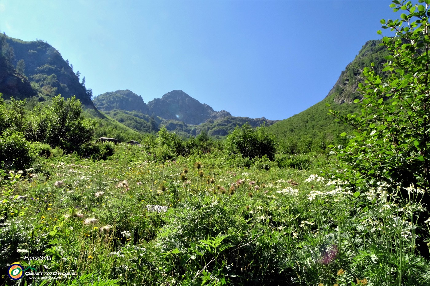 34 Inizio  a vista la slaita del Vallone nel verde delle piante e nei colori dei fiori .JPG -                                